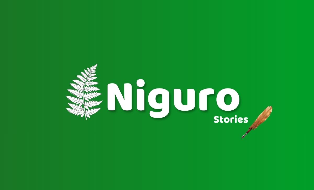 Introducing Niguro Stories: Write, Share & Earn