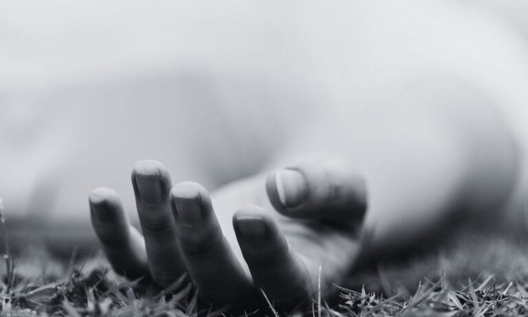 Palpa Deaths