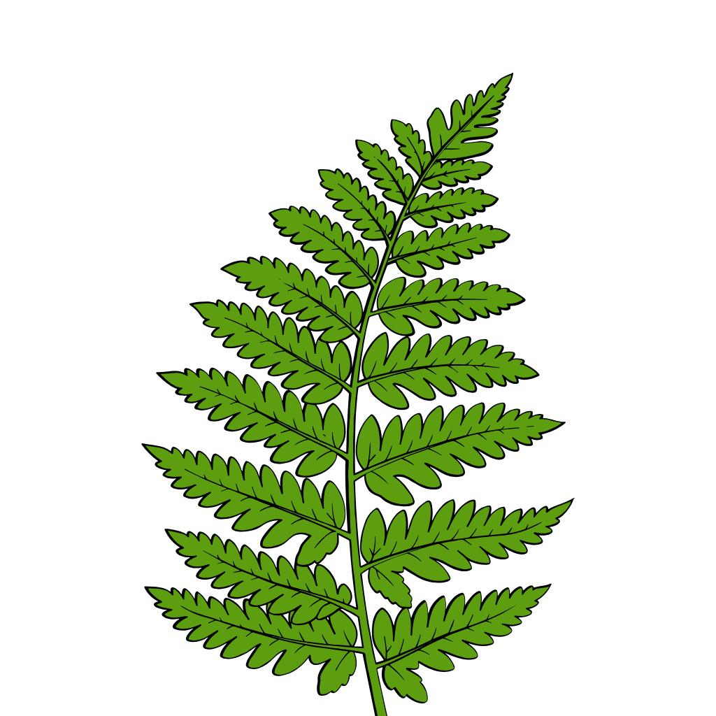 Pako