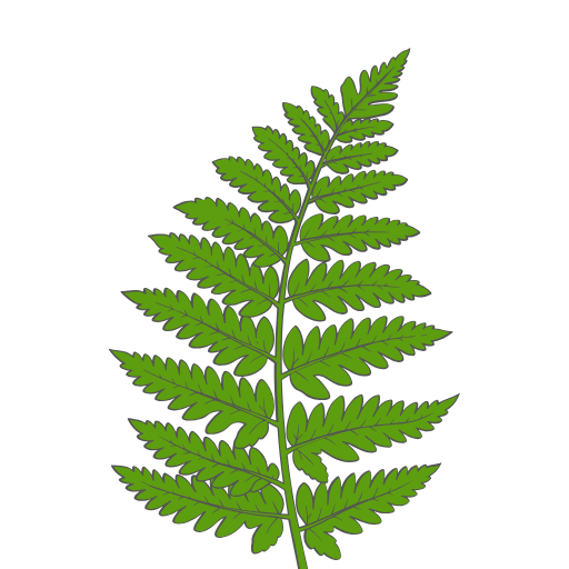 Niguro